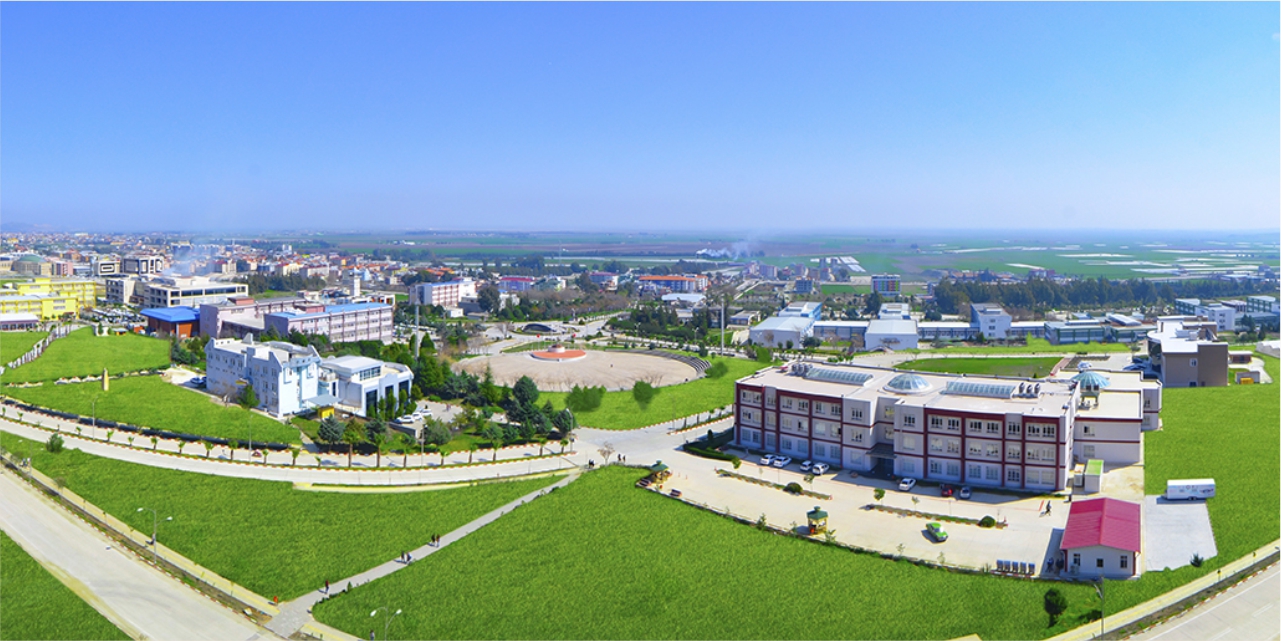 Hatay Mustafa Kemal Üniversitesi Öğretim Üyesi