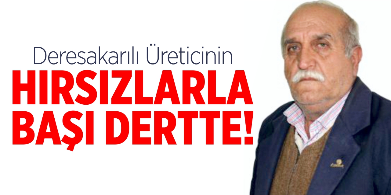 Hırsızlardan çekmediği kalmadı!