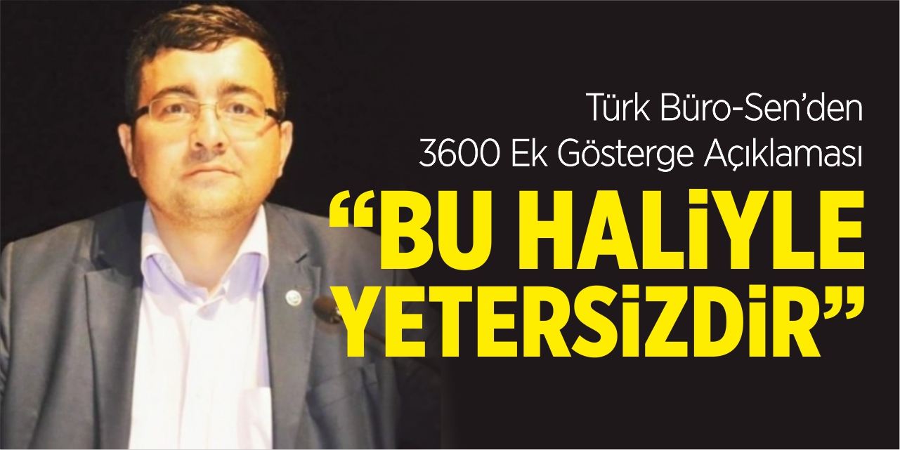 “Bu haliyle yetersizdir”