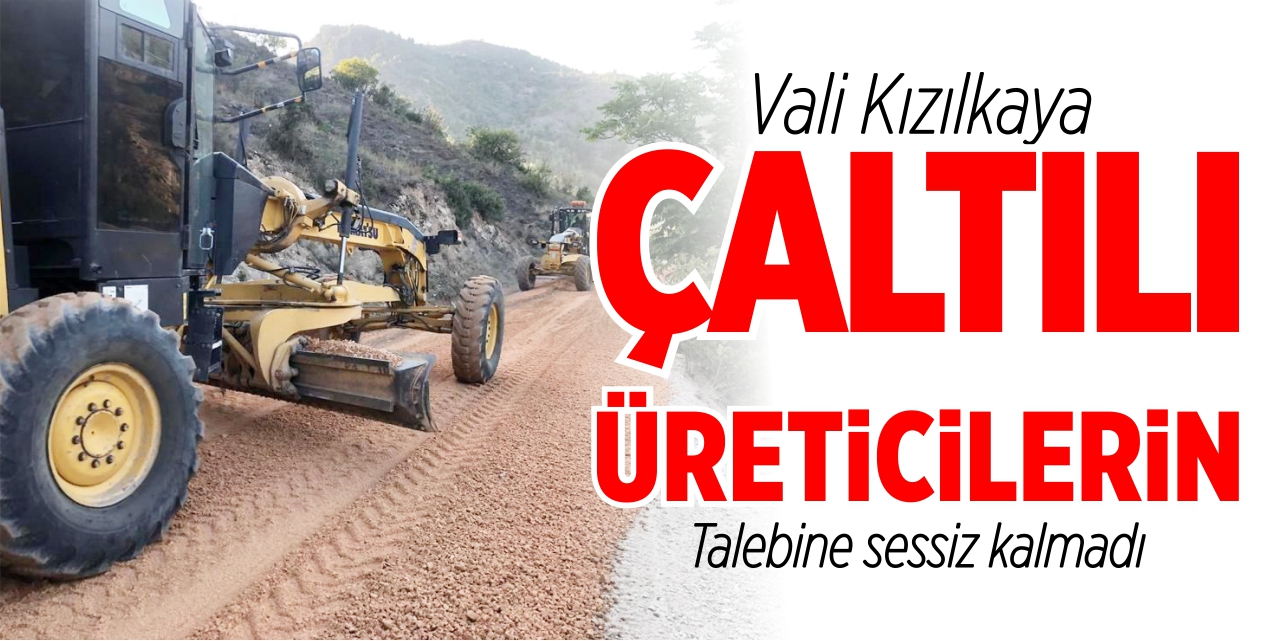 Vali Kızılkaya, Çaltılı üreticilerin taleplerini yerine getirdi