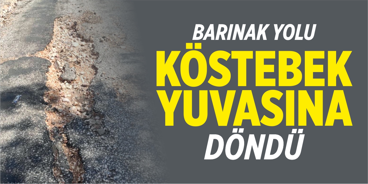 Barınak yolu adeta köstebek yuvasına döndü