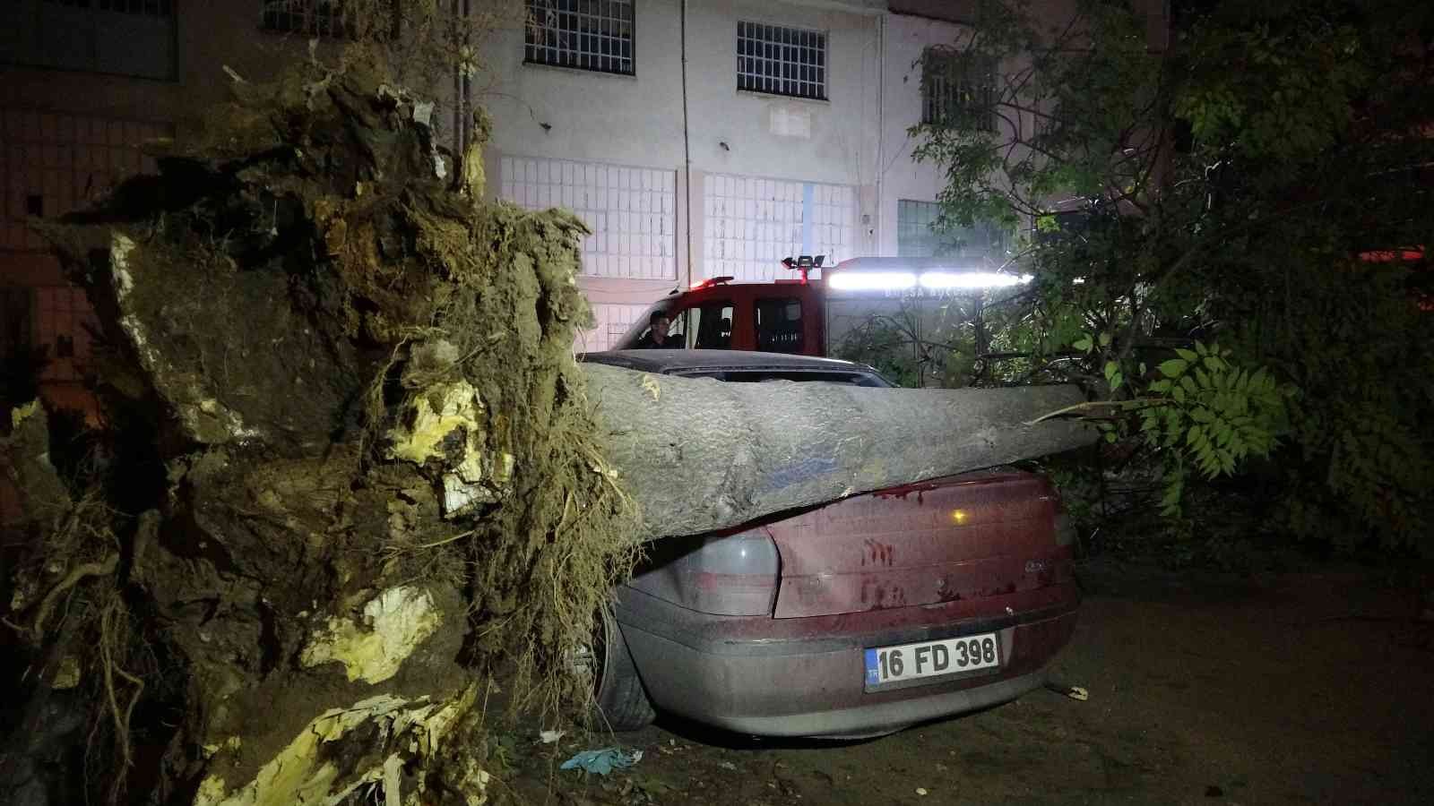 Ağaç park halindeki 3 otomobilin üzerine devrildi