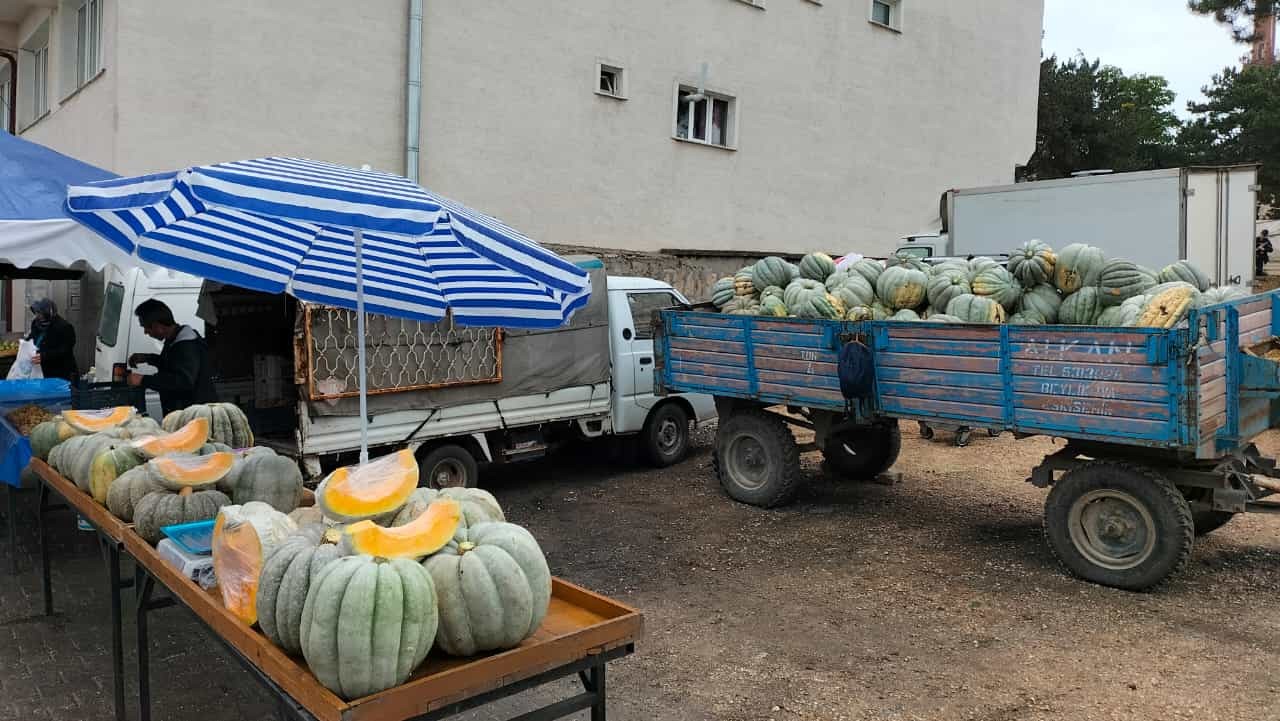 Mihalıççık’ta 30 kiloluk dev balkabaklarına ilgi yoğun