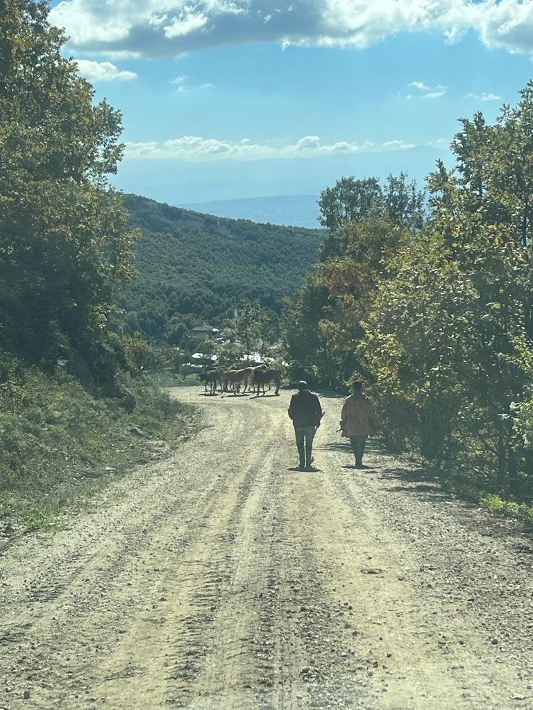 Kaybettiği hayvanları  jandarma buldu