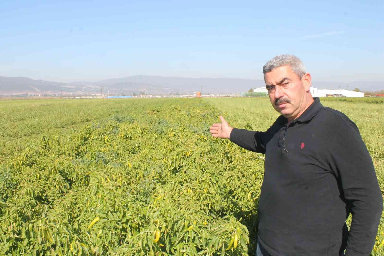 Türkiye’de ilk kez Bursa’da denendi