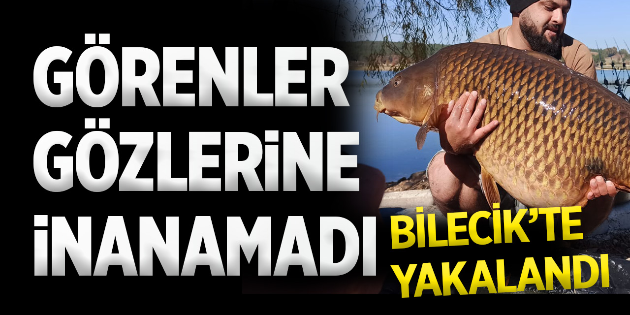 Görenler Gözlerine İnanamadı