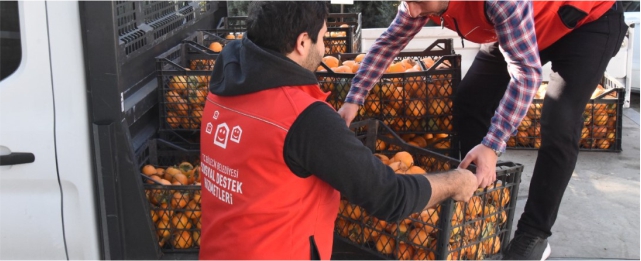 Belediye bahçesinden toplanan hurmalar ihtiyaç sahiplerine dağıtıldı