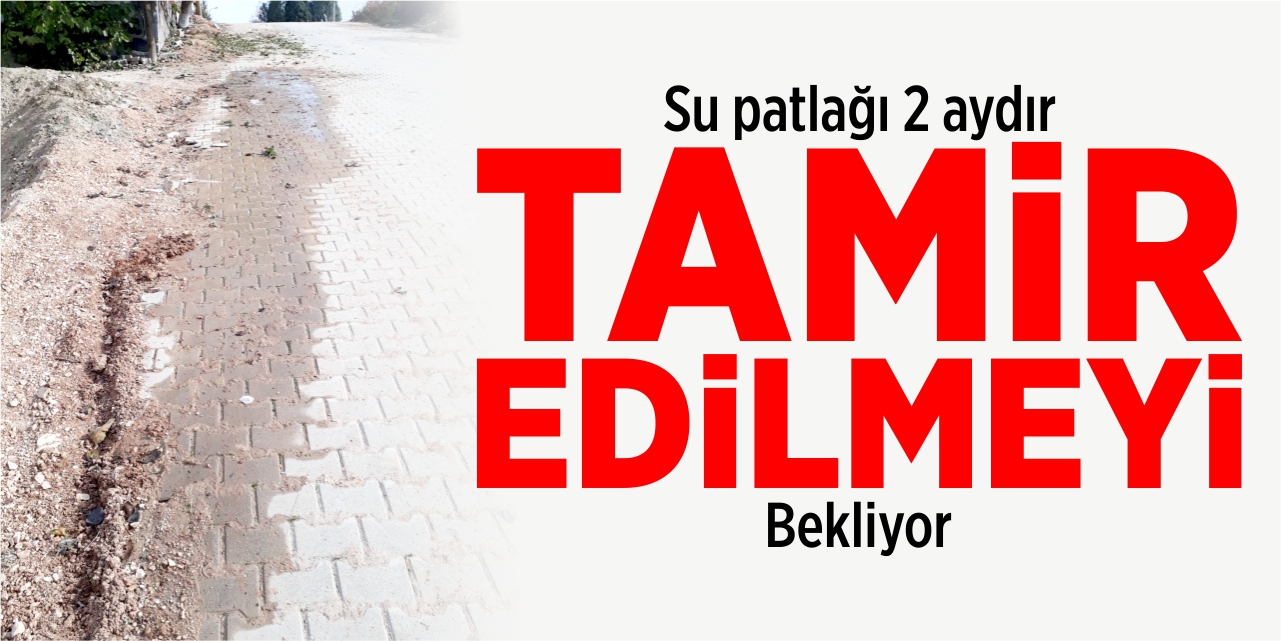 Su patlağı 2 aydır tamir edilmeyi bekliyor!