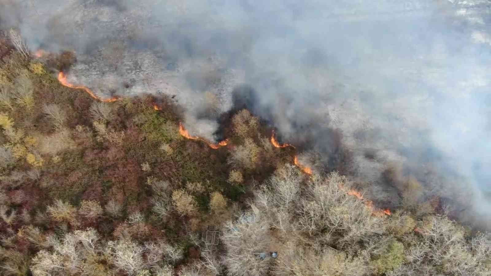 Ormanlık alanda korkutan yangın