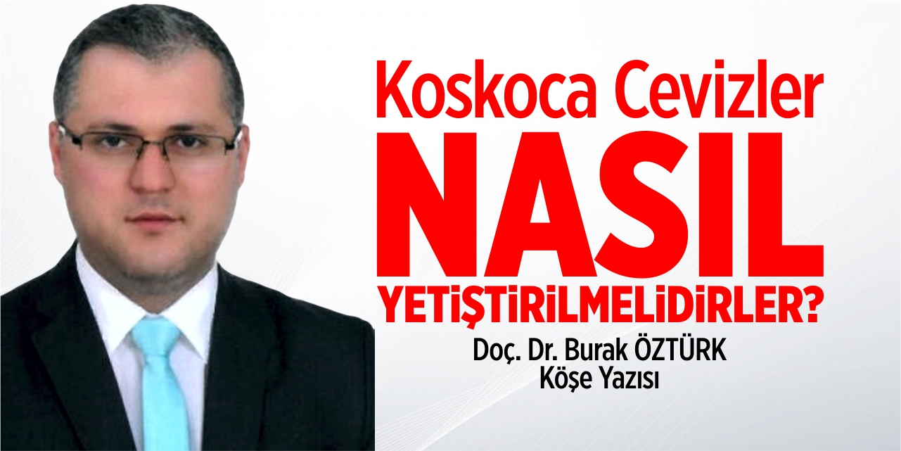 Koskoca Cevizler Nasıl Yetiştirilmelidirler?