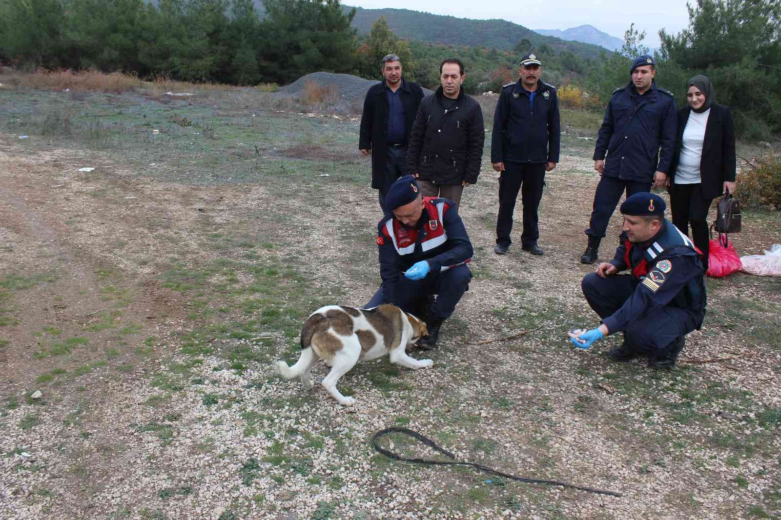 Sokak hayvanlarını elleriyle beslediler