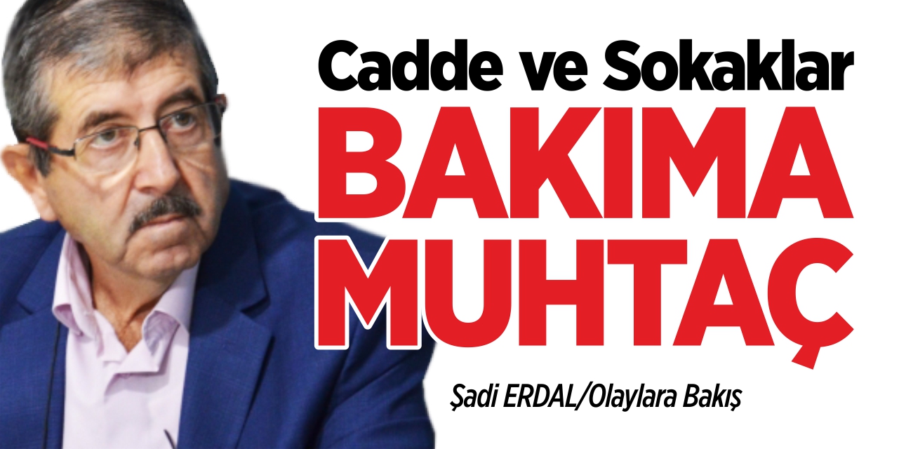 Cadde ve sokaklar bakıma muhtaç