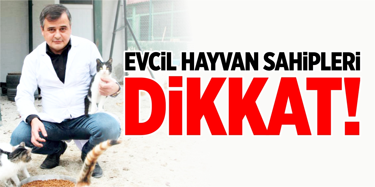 Evcil hayvan sahipleri dikkat