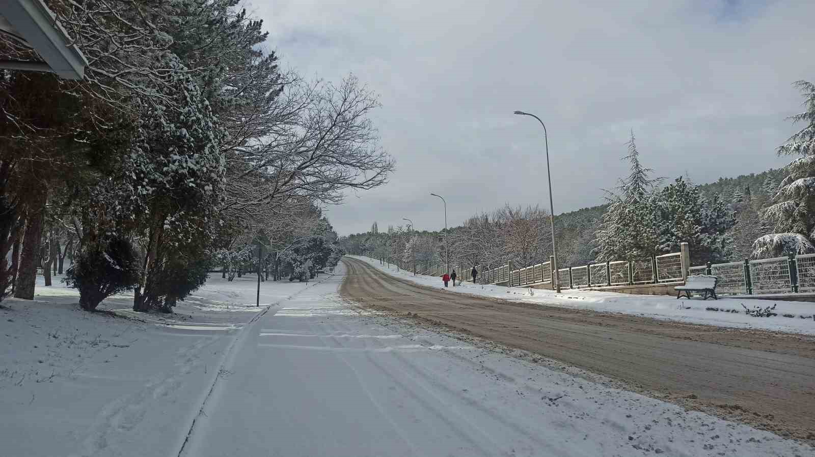 Eskişehir’de masalsı manzaralar oluşturan kar, bazıları için çileye dönüştü