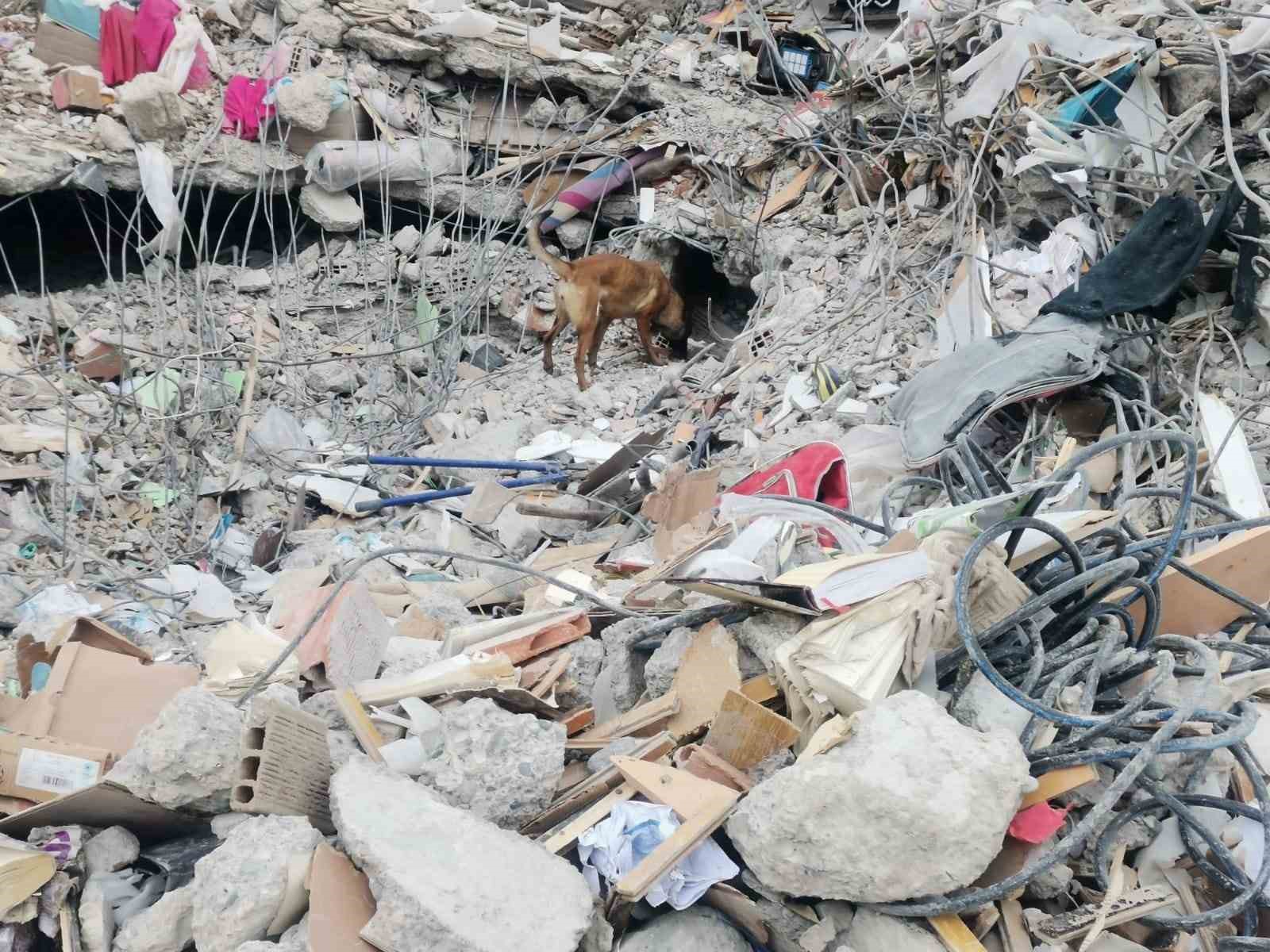 Teknolojinin tükendiği yerde devreye giren altın burunlar