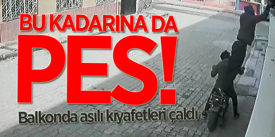 Bu Kadarına da Pes!