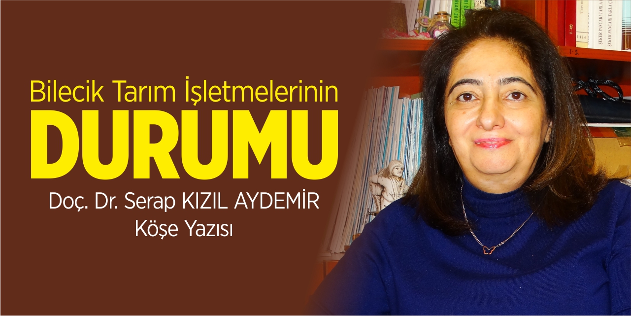 Bilecik Tarım İşletmelerinin Durumu