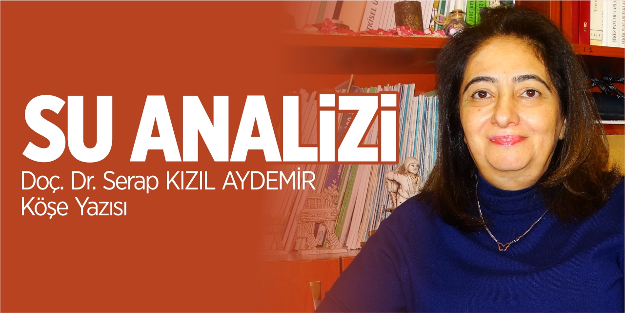 SU ANALİZİ