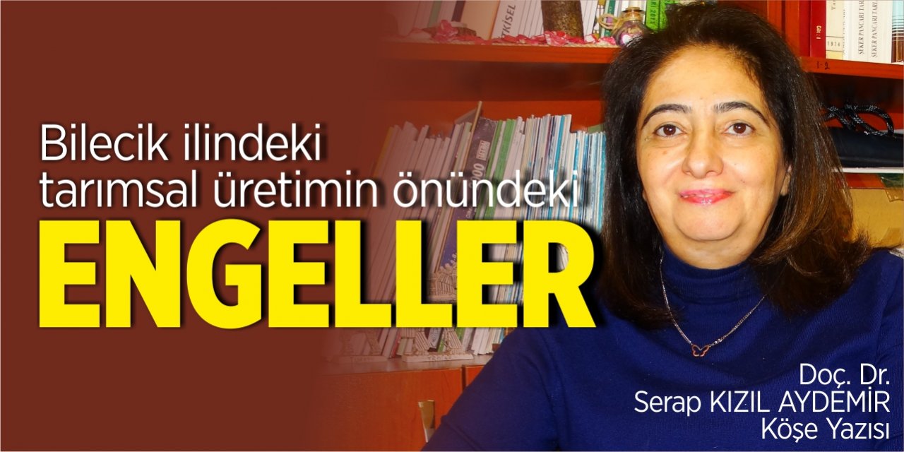 Bilecik ilindeki tarımsal üretimin önündeki engeller