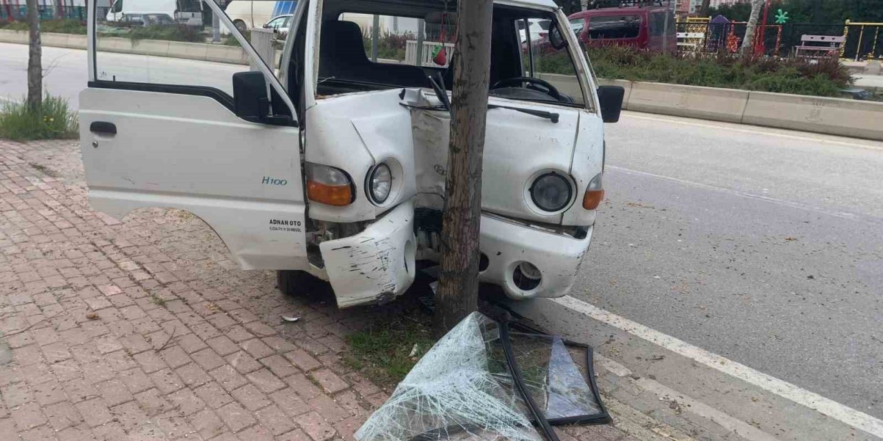 Kontrolden çıkan kamyonet ağaca çarparak durabildi