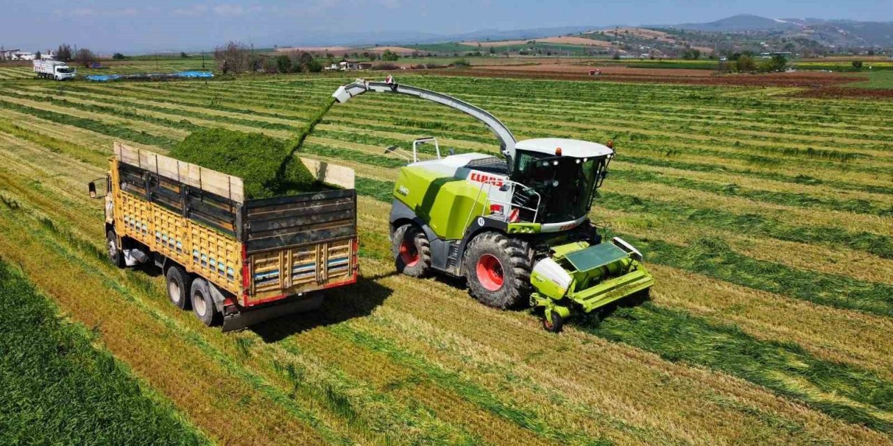 Üreticiler hasat için sahaya indi