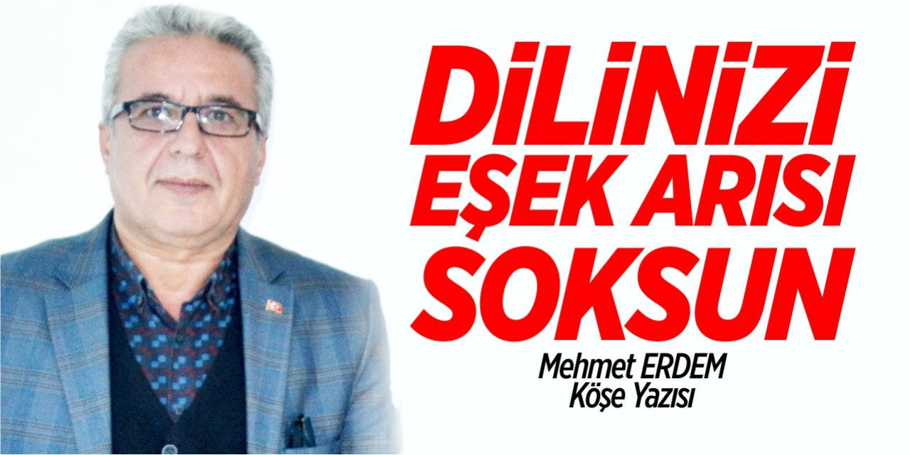 Dilinizi eşek arısı soksun!