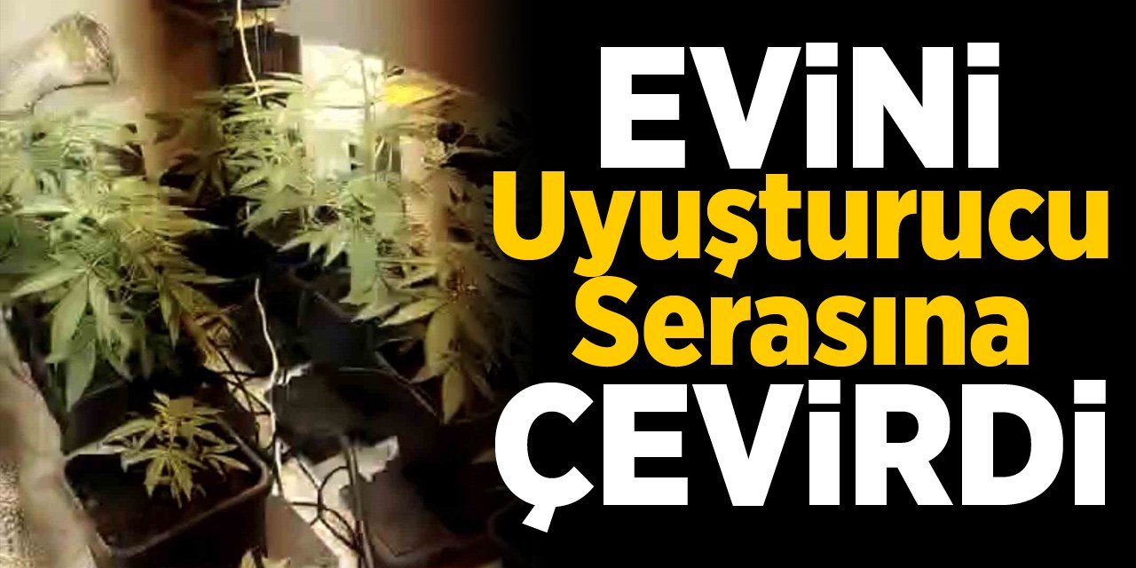 Evini uyuşturucu serasına çevirdi