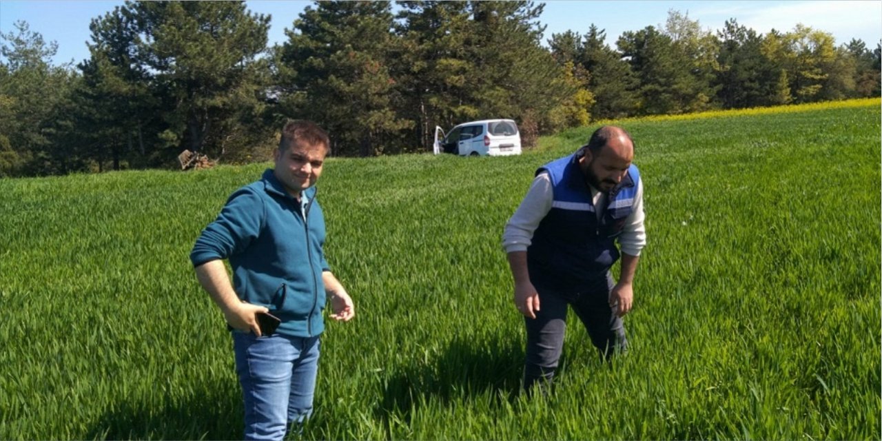 Süne sürvey çalışmaları başladı