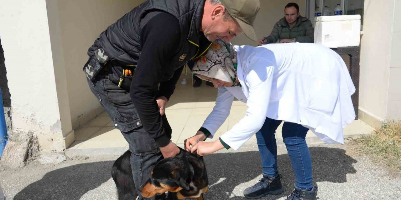 Bozüyük’te ücretsiz kuduz aşısı kampanyası kapsamında 263 aşı yapıldı