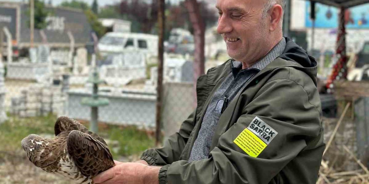 Yaralanan şahine vatandaş sahip çıktı