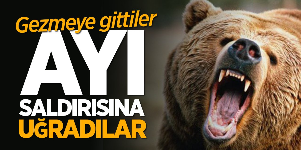 Ayı saldırısına uğradılar