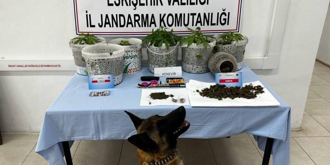 Jandarma köpeği Akça’dan kaçamadılar