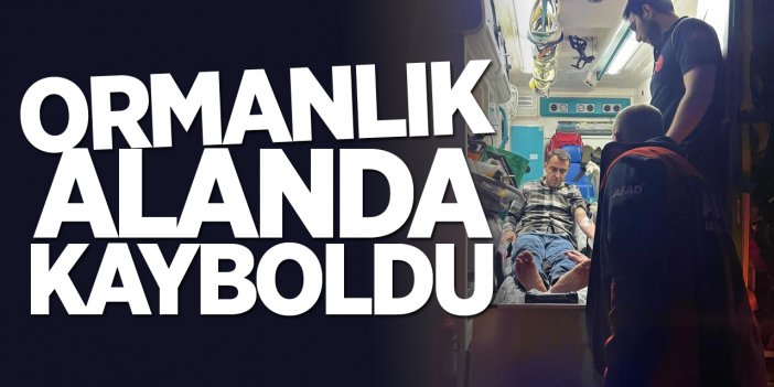 Ormanlık alanda kayboldu