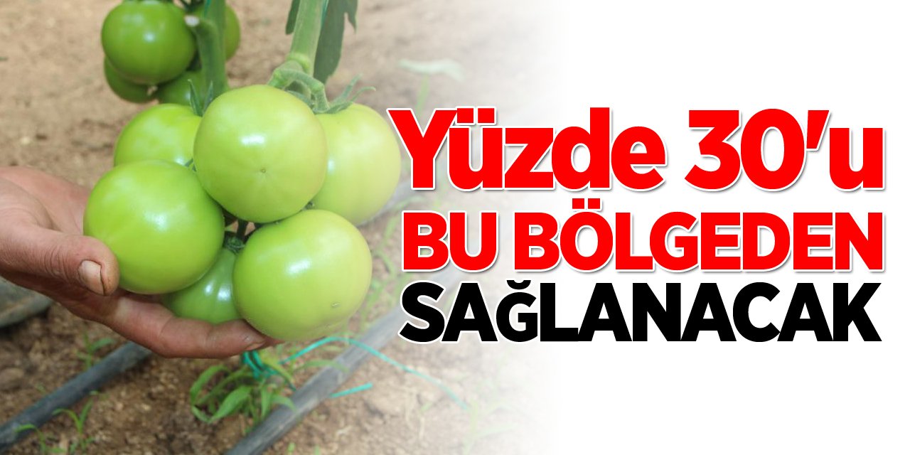 Yüzde 30’u bu bölgeden sağlanacak