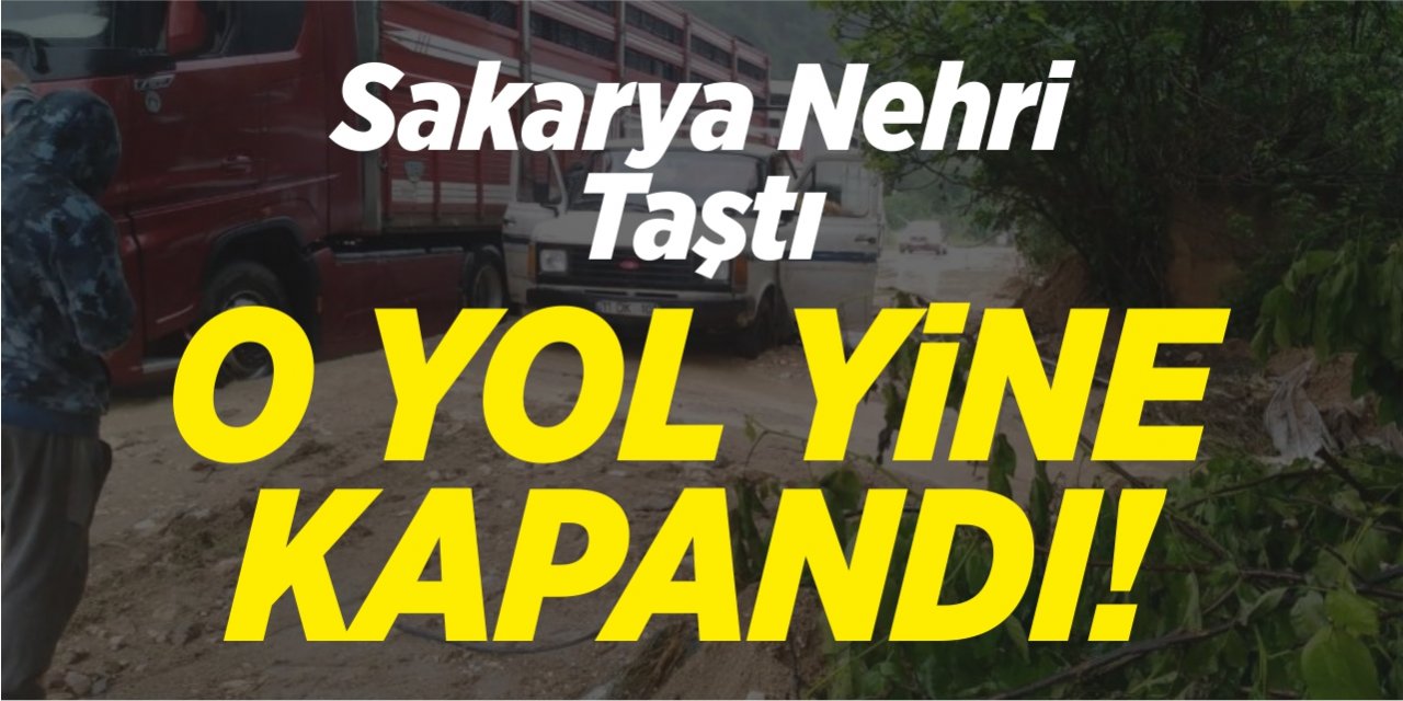 Sakarya Nehri taştı, o yol yine kapandı!