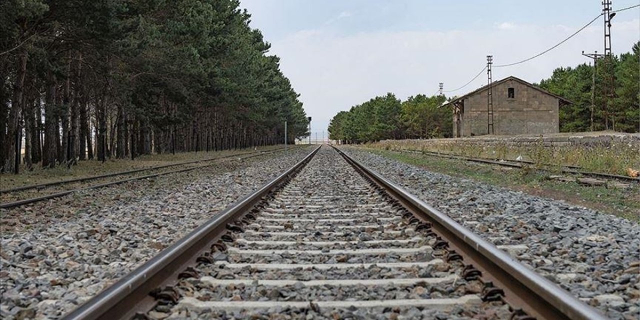 Demiryollarında zararlı otlarla mücadele için ilaçlama yapılacak