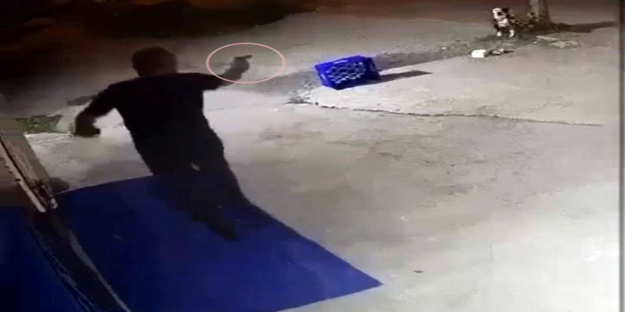 Ağaca bağlı köpeğe kurşun yağdırmdı