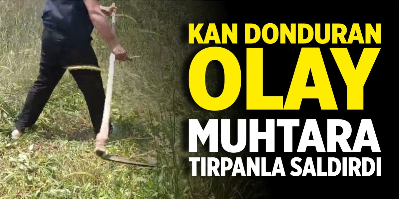 Balıkesir'de kan donduran olay!