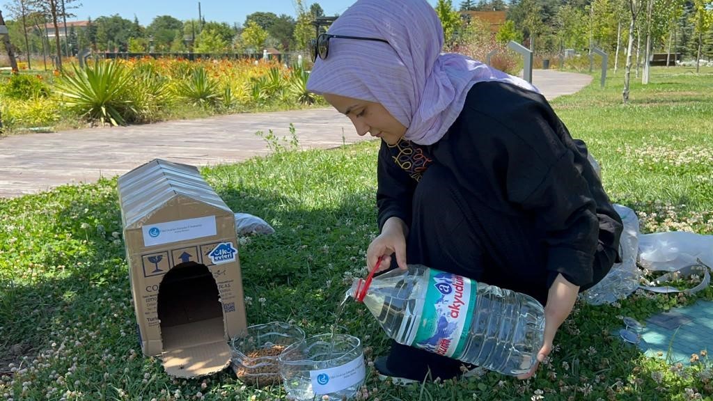 Eskişehir Ülkü Ocakları’ndan sokak hayvanlarına mama ve su desteği