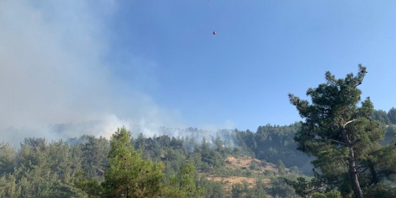 Kahramanmaraş’ta orman yangınına müdahale sürüyor