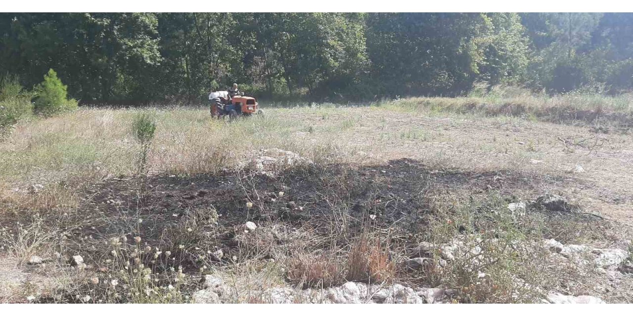 Manavgat’taki yangın ormana sıçramadan söndürüldü