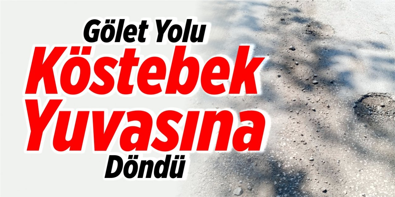 Gölet yolu köstebek yuvasına döndü!