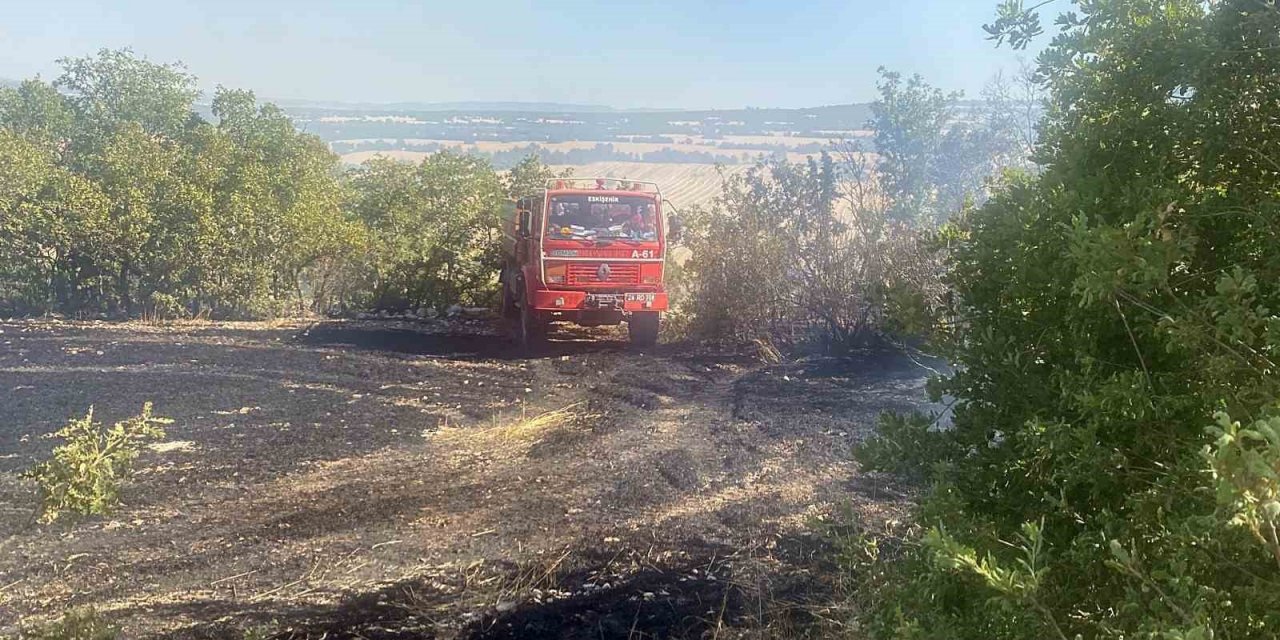 Yangında Hayvanlar Da Zarar Gördü