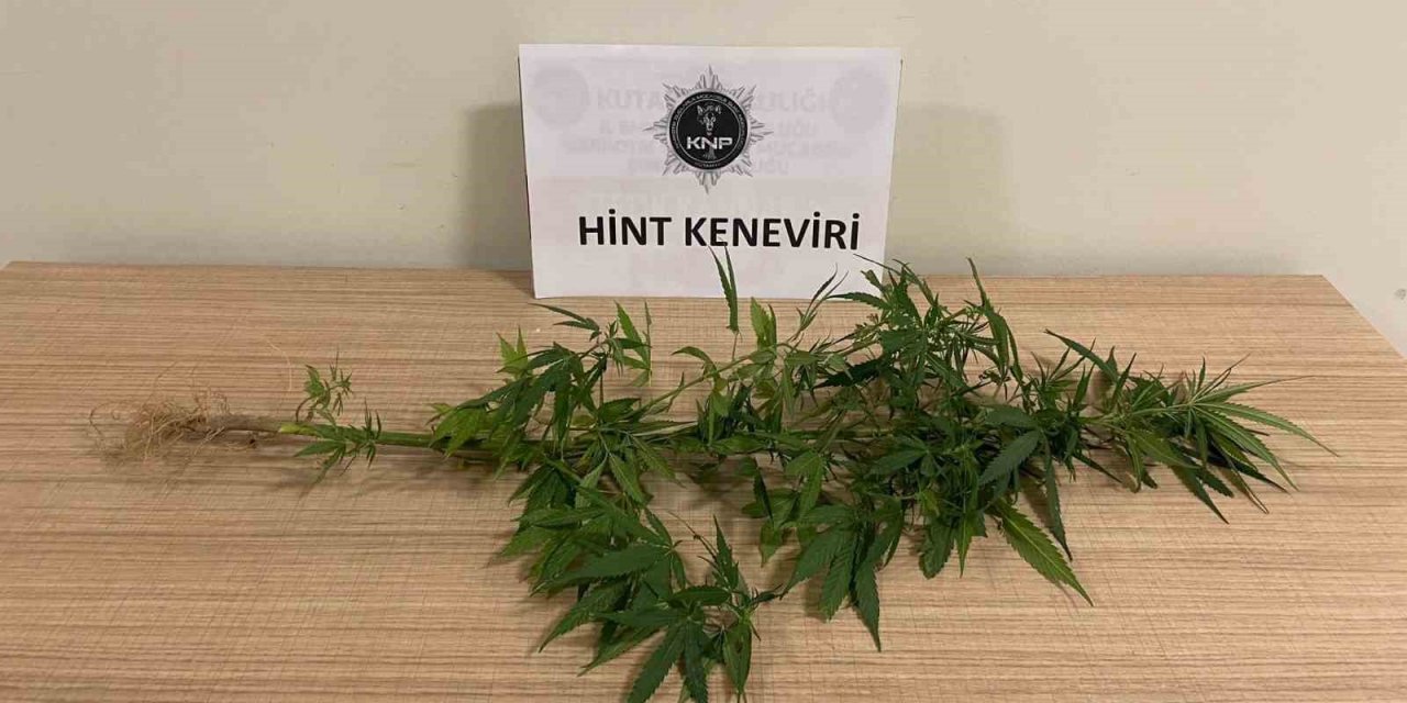 Hint Keneviri Ele Geçirildi