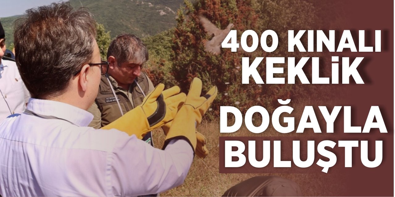 400 kınalı keklik doğayla buluştu