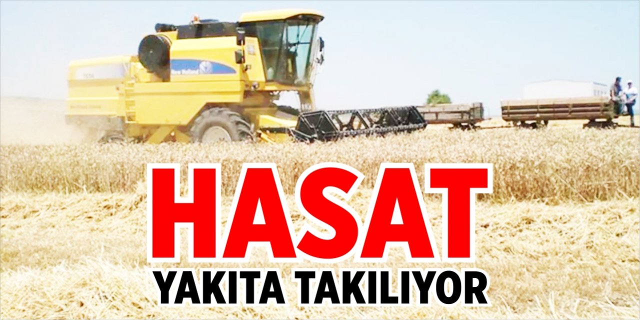 Hasat yakıta takılıyor