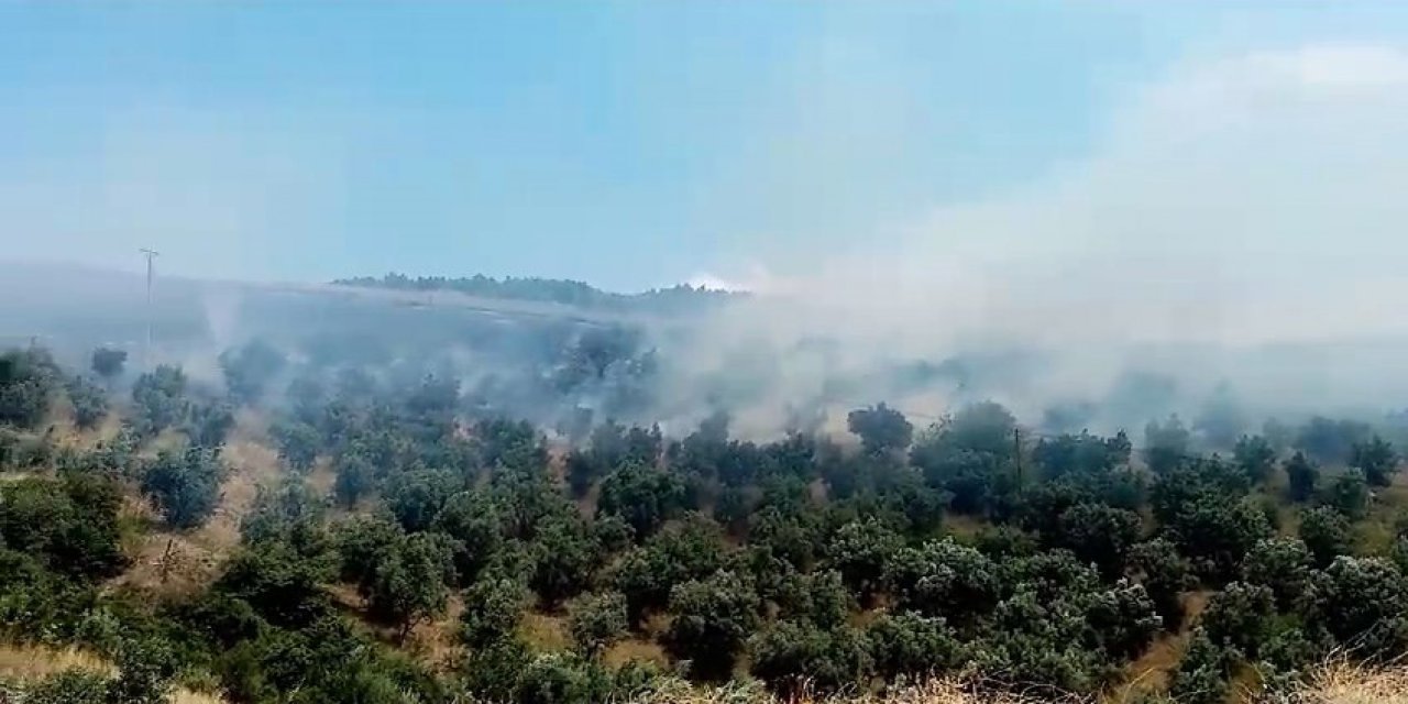 Makilik Alanda Çıkan Yangın Söndürüldü