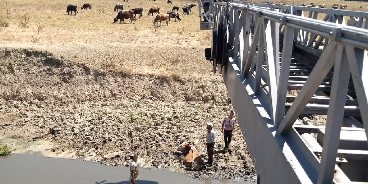 Bataklığa Saplanan İneği İtfaiye Kurtardı