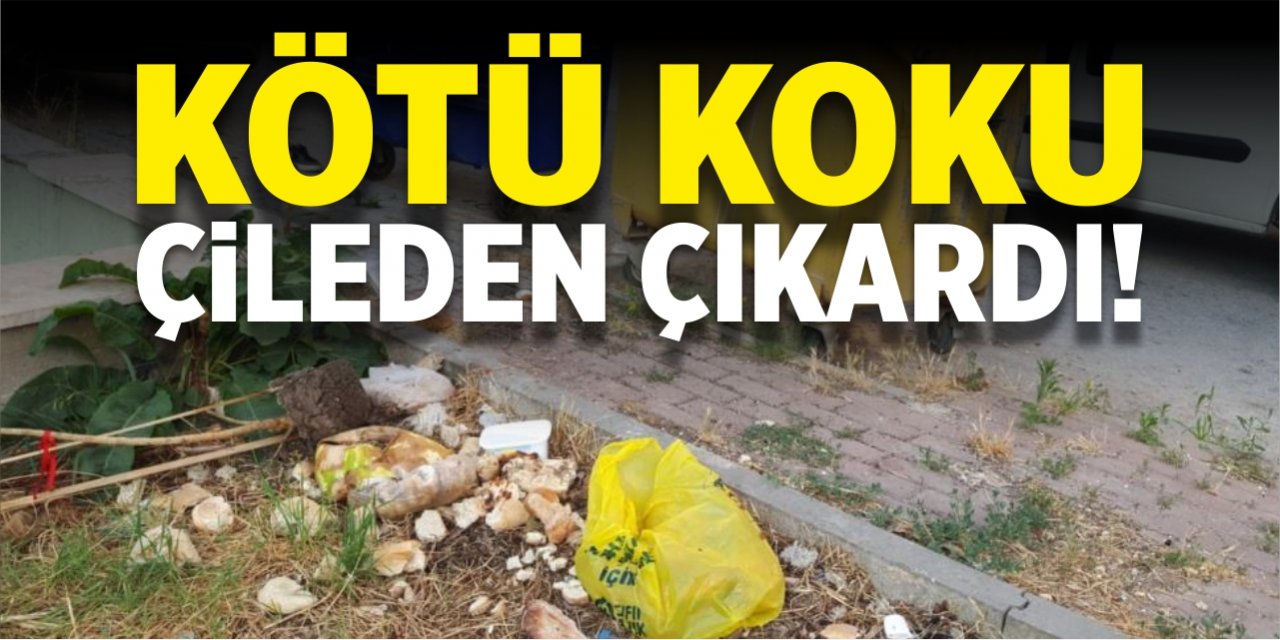 Kötü koku çileden çıkardı!