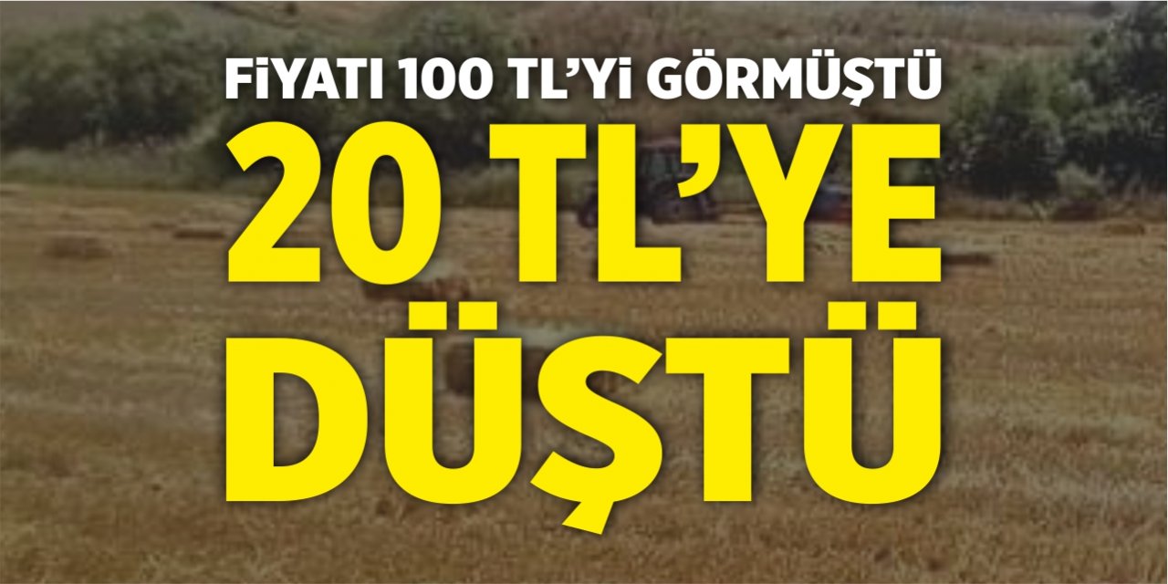 Fiyatı 100 TL’yi görmüştü, 20 TL’ye kadar düştü!